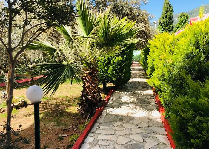 Nature Doğa ölüdeniz Hotel 2*